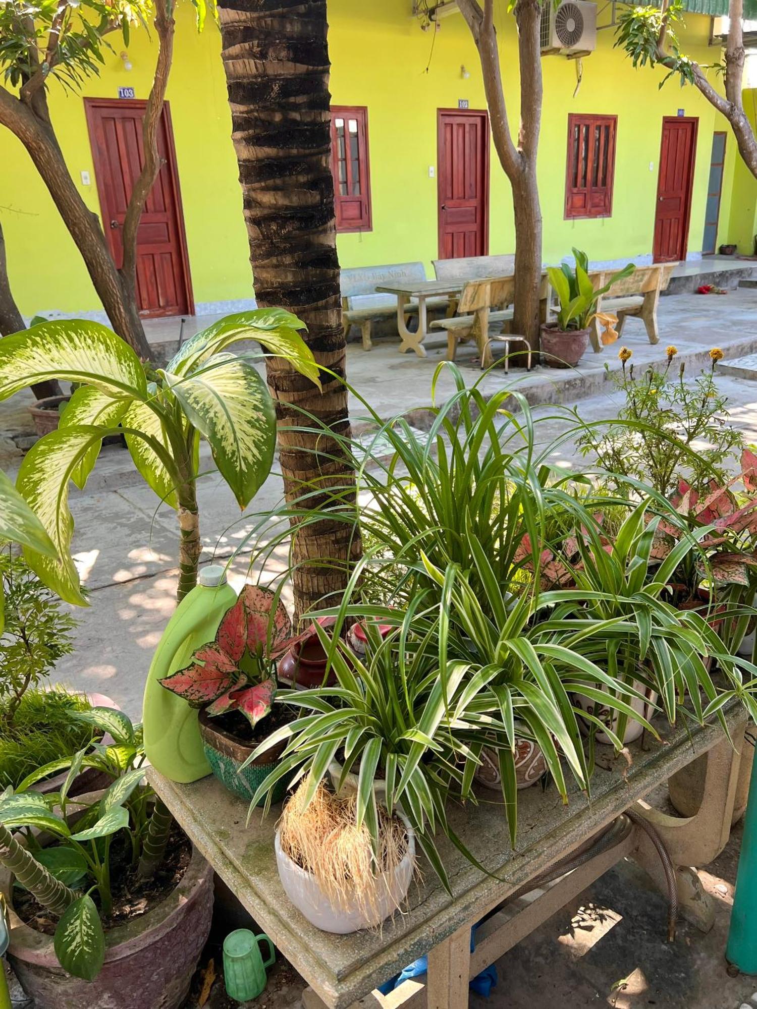 Duc Thao Guest House Mui Ne Exterior photo