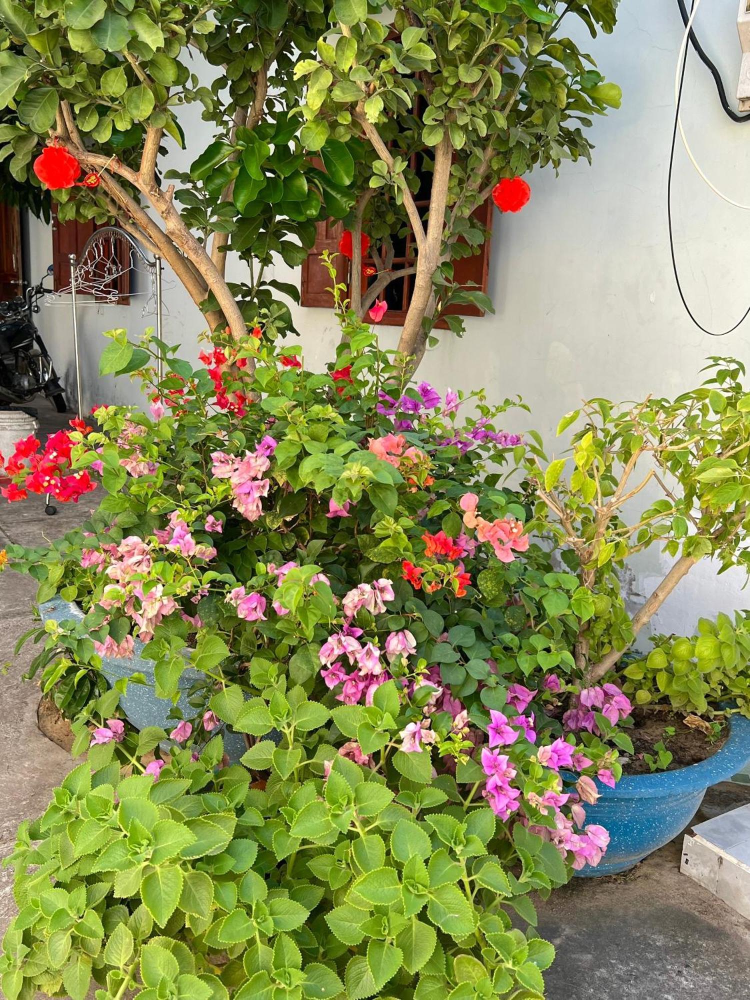 Duc Thao Guest House Mui Ne Exterior photo