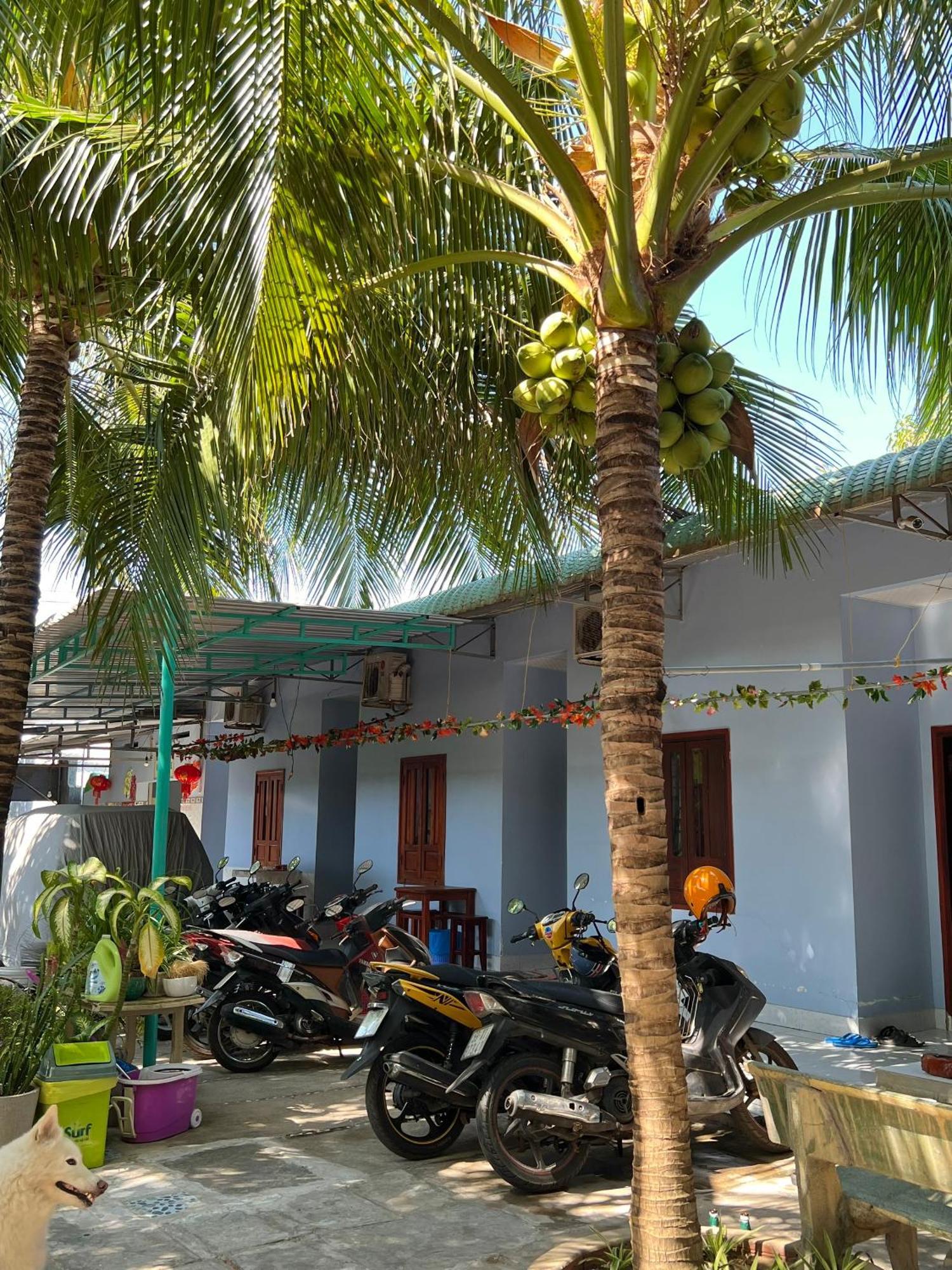 Duc Thao Guest House Mui Ne Exterior photo