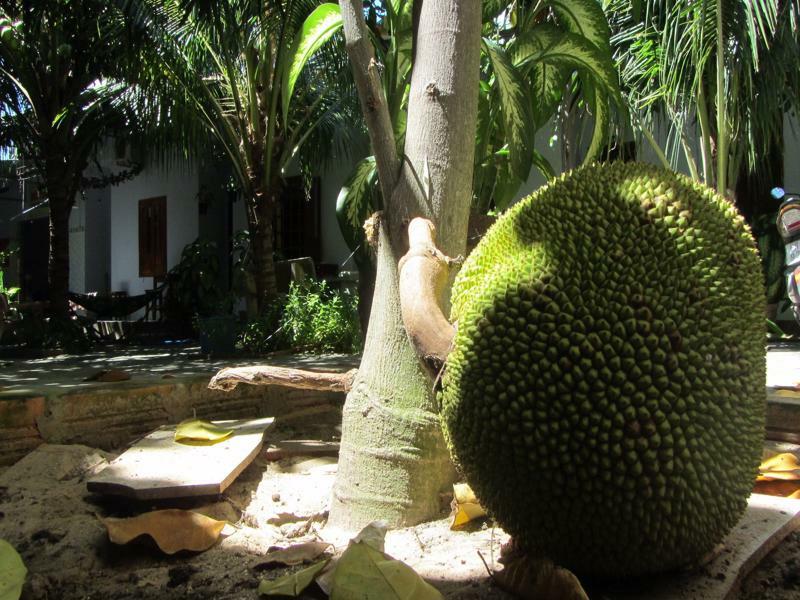 Duc Thao Guest House Mui Ne Exterior photo