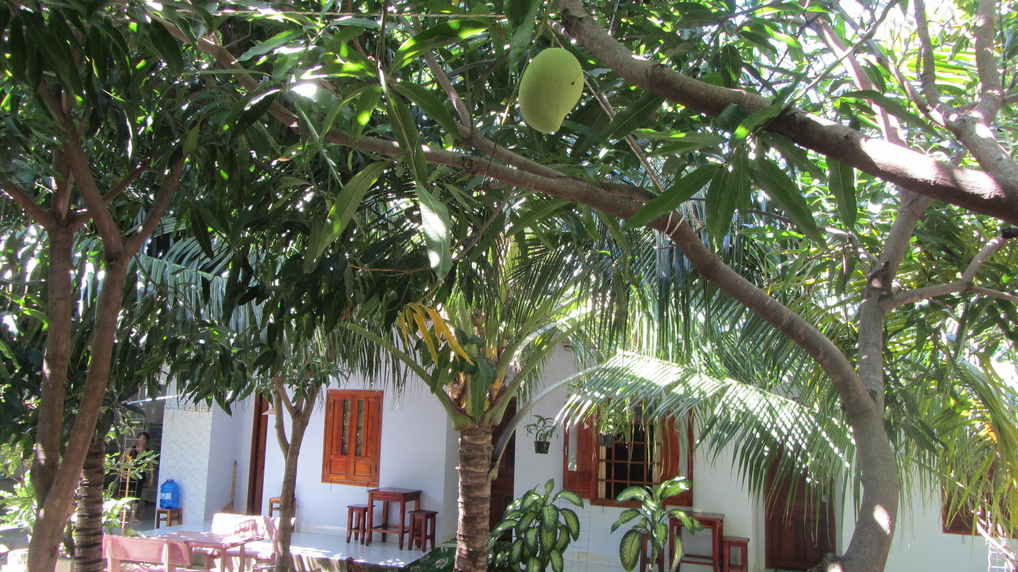 Duc Thao Guest House Mui Ne Exterior photo