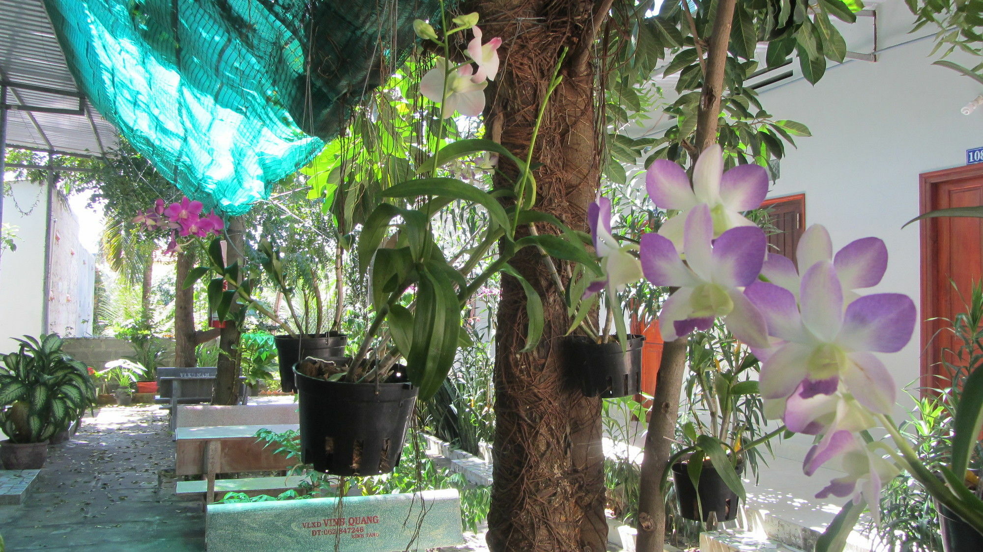 Duc Thao Guest House Mui Ne Exterior photo