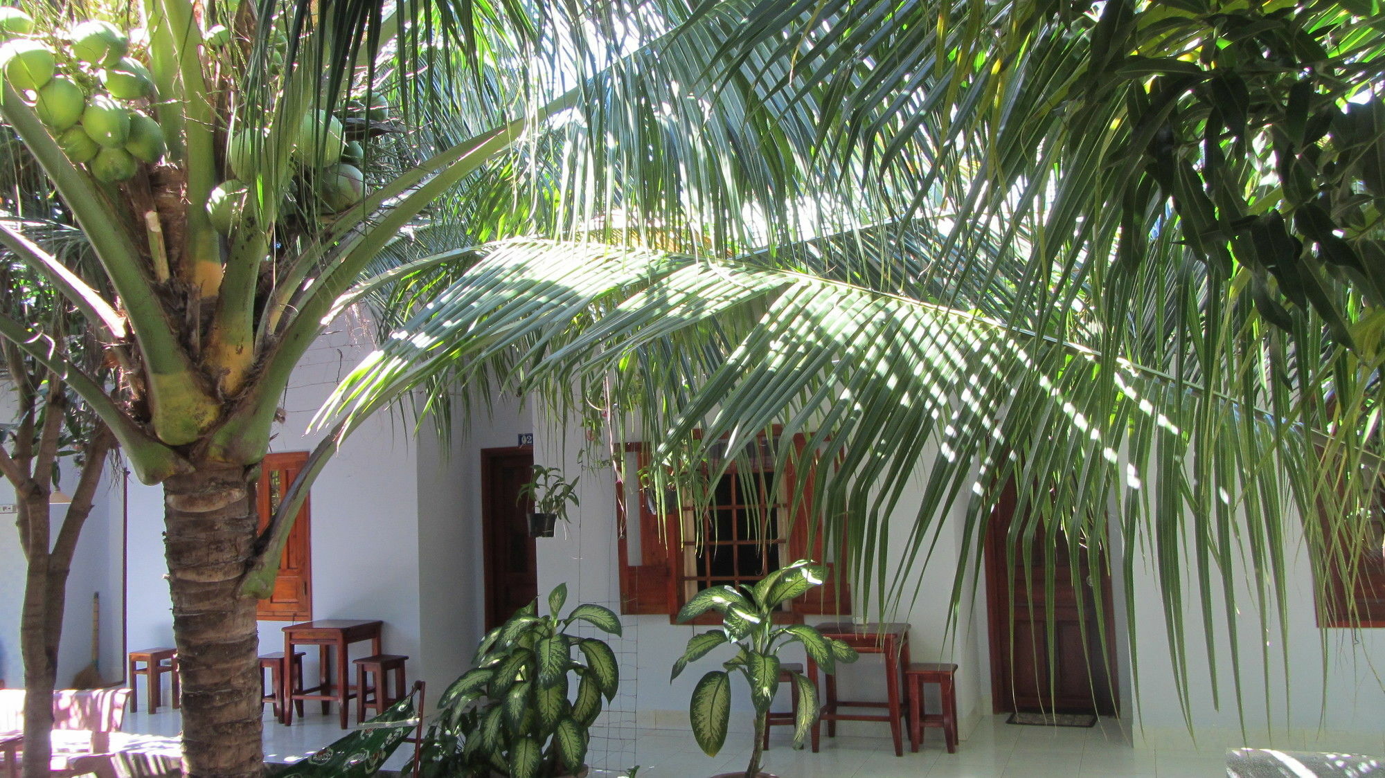 Duc Thao Guest House Mui Ne Exterior photo