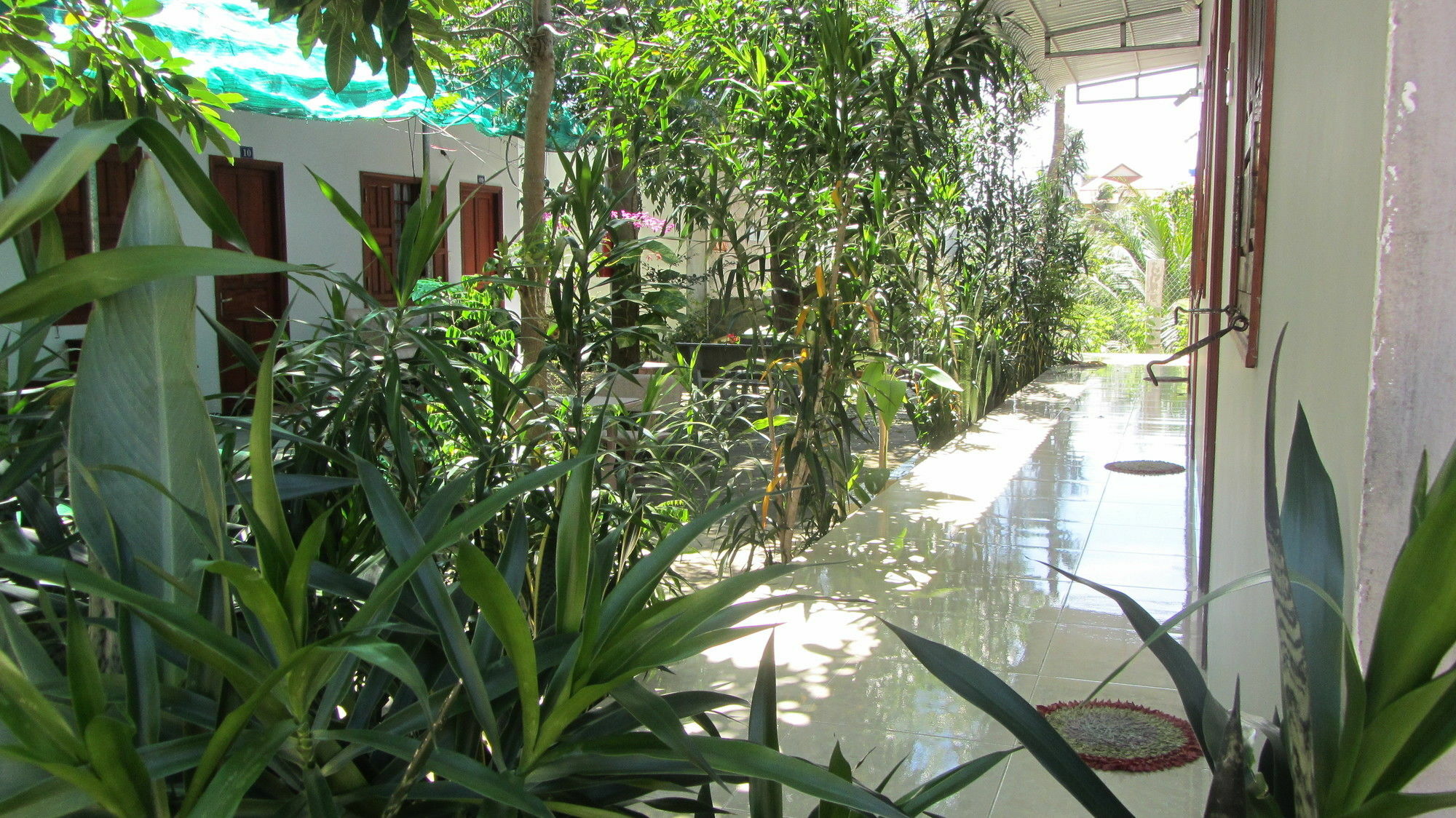 Duc Thao Guest House Mui Ne Exterior photo